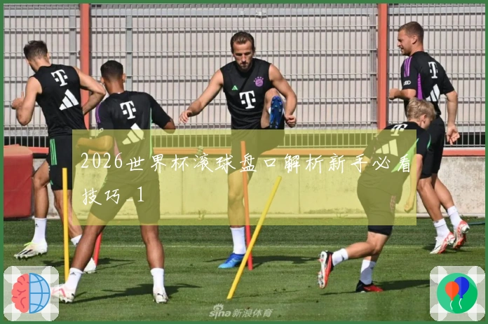 2026世界杯滚球盘口解析新手必看技巧_1