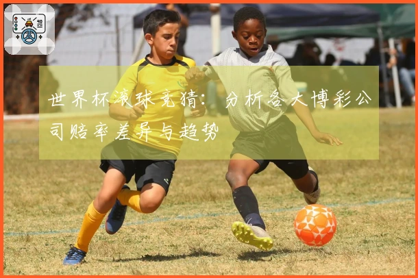 世界杯滚球竞猜：分析各大博彩公司赔率差异与趋势