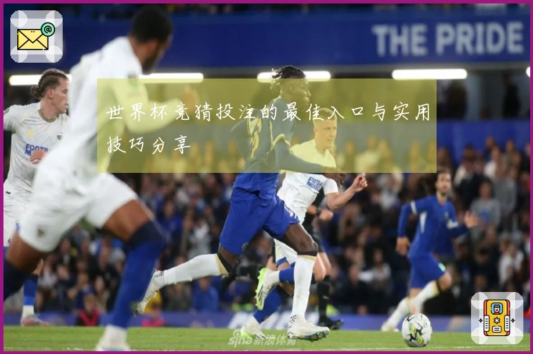 世界杯竞猜投注的最佳入口与实用技巧分享