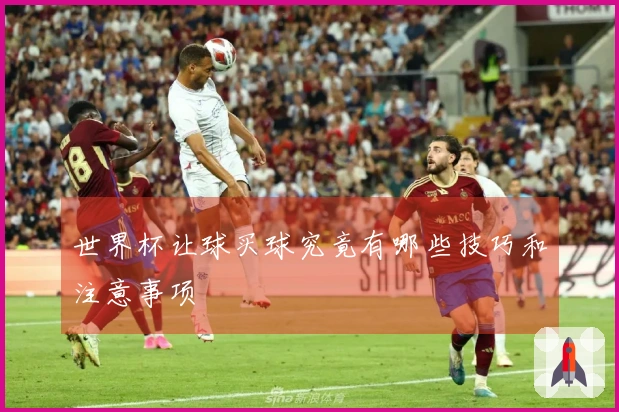 世界杯让球买球究竟有哪些技巧和注意事项