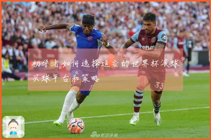 初学者如何选择适合的世界杯滚球买球平台和策略