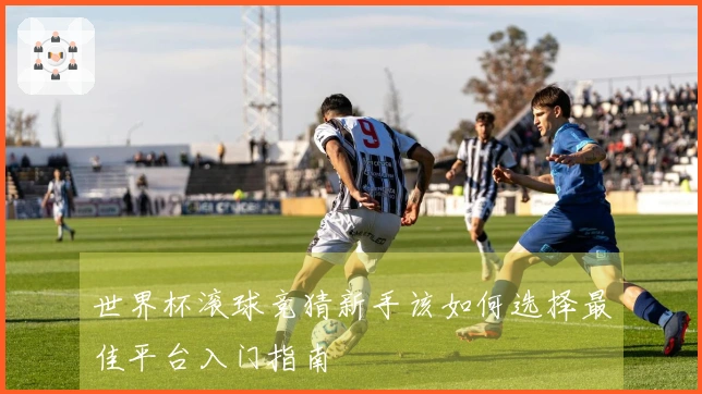 世界杯滚球竞猜新手该如何选择最佳平台入门指南