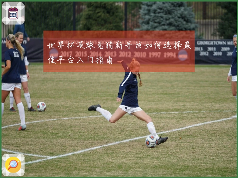 世界杯滚球竞猜新手该如何选择最佳平台入门指南